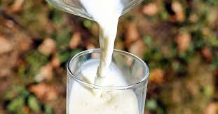Ruyada Ayran Icmek Ne Anlama Gelir Diyadinnet