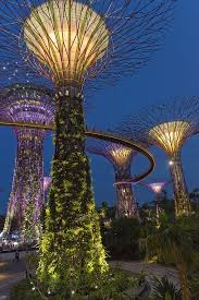 Supertrees Gardens By The Bay Singapore Garden Gardens By The Bay Singapore Travel
