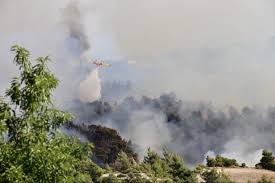 Jun 07, 2021 · χαρδαλιάς είπε ότι εντός 4,5 ωρών η φωτιά διέγραψε πορεία 10,3 χιλιομέτρων περνώντας μέσα από οικισμούς. Fwtia Twra Reportaz Newsbomb Gr H Teleytaia Enhmerwsh Gia To Pyrino Metwpo Sto Alepoxwri Newsbomb Eidhseis News