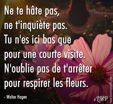 Impression et le cadre ne je n'accepte pas les retours, les échanges ou les annulations. N Oublie Pas De T Arreter Pour Respirer Les Fleurs Citations Et Pensees Positives Les Mots Positifs Com