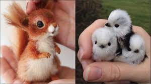 10 Best Pets To Consider For Your Child Cute Baby Animals Baby Animals Baby Animal Videos