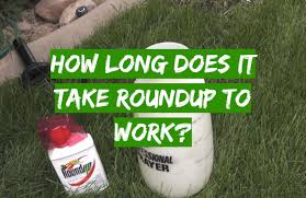 Check spelling or type a new query. How Long Does It Take Roundup To Work Grass Killer