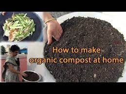 Never Buy Fertilizer Again Instead Make Your Own Organic Fertilizer With Just This Youtube Organic Compost Organic Vegetables Organic Vegetable Garden