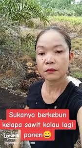 Kebun Kelapa: Aktivitas, Manfaat, dan Pengalaman