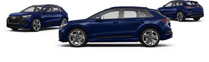 Image result for Navarra Blue 2024 Q4