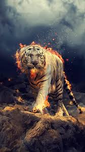 Angry Raging White Tiger 1080x1920 Wallpaper Tiger Wallpaper Wild Animal Wallpaper Lion Wallpaper
