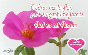 Bueno esto lo estoy haciendo con algunas frases de amor que me llamen la atención o me gusten,ahí ven ustedes si las llegan a amar o odiar. Frases Para Explicarle Mi Amor Verdadero Bueno Y Sincero