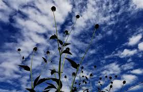 Mein Heutige Gartenwetter Gegen 13 00 Uhr In 2020 Garten Sommer Wetter