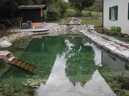 Biopiscine Piscine Naturelle Fountains Outdoor Swimming Pond Natural Swimming Ponds