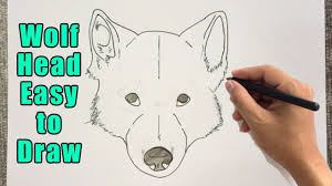 Let's add the details of the head carefully then. How To Draw A Wolf Head Drawing Easy Outline Wolf Head Front View Step By Step Sketch Youtube