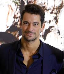 David gandy dolce gabbana book hotsell
