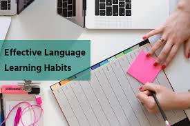 Effective Language Learning Habits