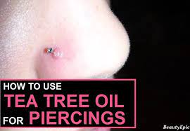 Tea Tree Oil For Piercings Tea Tree Oil Uses Tree Oil Tea Tree Oil