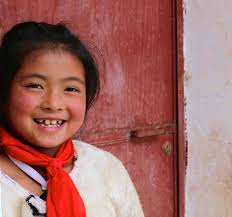 Case Management System Manual