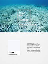 unofficial pantone color for 2020 revealed webdesigner depot of the year navy tcx