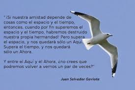 Pin De Lucia Landaverde En Tanatologia Libro Juan Salvador Gaviota Juan Salvador Gaviota Juan Salvador Gaviota Frases