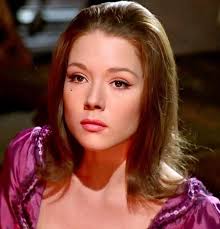 Andrew Stocker (@TimeLordDrew61)