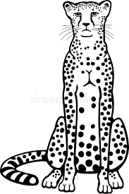 First, draw a u for the cheetah's head. Cheetah Sitting Stock Vector Illustration Of Animal 63316923