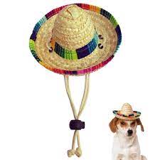 Pin On Dog Apparel And Accessories
