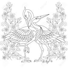 A new arrival coloring page _ hicken coloring page; Coloring Page Beautiful Crane Birds Among Flowers Line Art Design For Adult Colouring Book With Doodle And Elements Royalty Free Cliparts Vectors And Stock Illustration Image 146886768