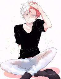pin on todoroki shouto