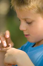 Sowing the Seeds of Self-Healing Sowing the Seeds of Self-Healing