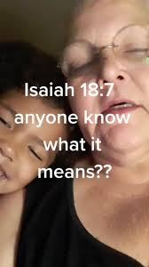 Denise Skipper (@usereverythingholy)