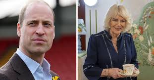 Prince William & Queen Camilla To Co-Lead Monarchy 'For Months To Come'