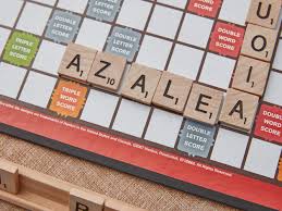 There were also distinct variants of the writing system in different parts of greece, primarily in how those phoenician characters that did not have an exact match to greek sounds were used. Scrabble Word List Vowel Heavy 6 Letter Words