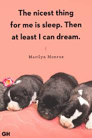 20 Sleep Quotes Cute Good Night Quotes