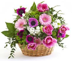 Ti auguro un felice e speciale. Fiori Per Congratulazioni Efiorista Online In Italia Ti Aiuta A Consegnare O Regalare Fiori E Piante Per Esprimere Le Congratulazioni