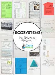 Biotic is the biological and ecological term which refer towards all the living organisms present in the ecosystems of the world. Ecosystems Science Notebook Photos