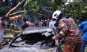 Maybe you would like to learn more about one of these? 5 Sekeluarga Terselamat Pokok Hempap Kereta