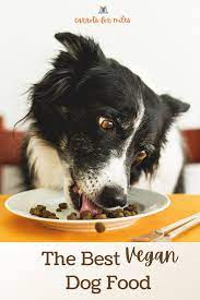 The Best Vegan Dog Food In 2020 Vegan Dog Food Vegan Dog Dog Food Recipes