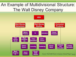 Walt Disney Company Organizational Chart Lenscrafters