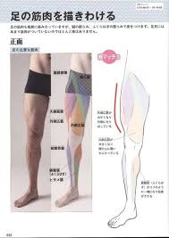 pin de tugsuu wen lmao em piernas anatomia da perna corpo masculino poses references