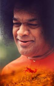 SAI AMRIT VANI: "There are three types of devotion: The Vihanga method,  where like a bird swooping down upon the ripe fruit