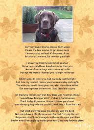 Adopt a pet directly from their owner, who knows them best. Shih Tzu Smile Dog Poems Dog Love Pet Loss Grief