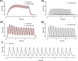 Muscle Physiology ,Types Of Muscles: Striated ,Non Striated And Cardiac.  Ultra Structure Of Stria ,Mechanism Of Muscle Contraction ,Cori Cycle And  Muscle Relaxation. Muscle Fatigue ,Oxygen Debt ,Rigor Mortis, Summmation,  Tetanus, Tonus,