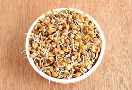 Maybe you would like to learn more about one of these? Eating Horse Gram For Weight Loss Recipes Side Effects
