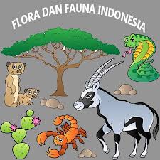 49+ gambar flora dan fauna hitam putih. Flora Dan Fauna Indonesia Medium