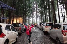 Dari jalur pantura hanya 10 menit menuju pantai ini. Forest Kopi Kembang Langit Harga Tiket Spot Foto Terbaru 2021