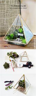 Diy Ring Box Terrarium Step By Step Consumer Crafts Ring Boxes Diy Terrarium Wedding Succulent Arrangements Glass