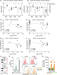 The cell is the common structure that makes up every living thing. Human Mait Cell Cytolytic Effector Proteins Synergize To Overcome Carbapenem Resistance In Escherichia Coli