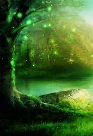 Fantasy Tree Forest Photo Background Studio Photography Backdrop Props Photography Backdrops Digital Photography Backdrops Backdrops Backgrounds