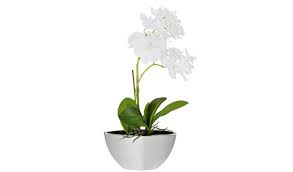 Visit alibaba.com for a wide range of. Buy Habitat Orchid Artificial Arrangement In Mirrored Pot Grey Artificial Flowers Plants And Trees Argos