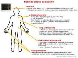 Shock & vasoactive medications - EMCrit Project