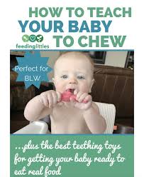 Feedinglittles Shares Tips On How To Teach Your Baby How To Chew Their Fave Teethers In 2020 Teaching Babies Teaching Best Teething Toys