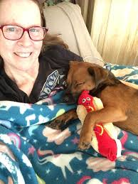 Forget a break up, u ever chased ur dog down the street n they think its a  game🐕😂