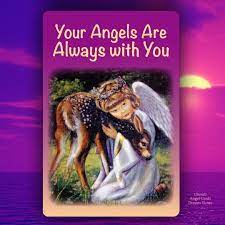 Tirage De Carte Du Jour De Doreen Virtue Du 23 05 2017 Avec Les Cherubins Doreen Virtue Angels Doreen Virtue Angel Cards